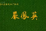 严凤英 第一集