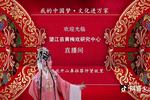 黄梅戏望江龙腔英台描药  片段