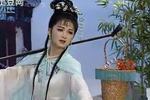 黄梅戏红楼梦 选段黛玉葬花 片段