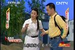 黄梅戏柳暗花明 片段