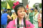 黄梅戏拉郎配 全集