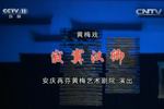 寂寞汉卿 片段