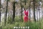 黄梅戏张四姐下凡