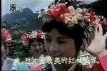 黄梅戏杜鹃女