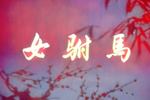女驸马
