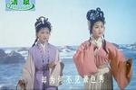 黄梅戏龙女