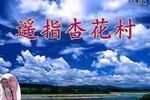 黄梅戏遥指杏花村 全集