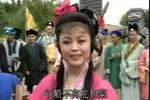 黄梅戏拉郎配