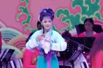 黄梅戏黄梅戏2017明日之星黄梅金曲演唱会