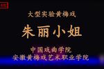 朱丽小姐