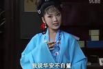 黄梅戏唐伯虎点秋香