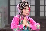黄梅戏双玉蝉