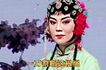姊妹易嫁 片段