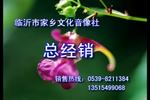 沂蒙小调十二陪送 第二部 上