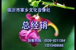 沂蒙小调十二陪送 第二部 下