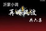 再婚风波