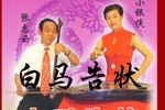 白马告状 周银侠 张志云