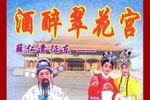 琴书薛家将系列 三救薛仁贵