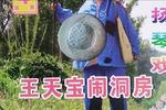 王天宝下苏州 (共三部19集) 惠忠刚 王媚