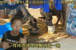 琴书血战太行山 十一