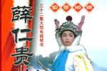琴书薛家将系列 薛仁贵征东