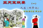 琴书王天保下苏州
