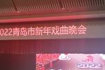 秧歌乡的故事 片段