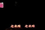 山东梆子墙头记 选段 老来难 片段