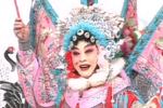 山东梆子豹头山 片段