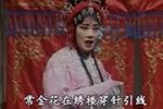 山东梆子打保府 片段