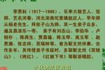 黄爱玉上坟 6 片段
