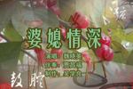 婆媳情深 上 片段