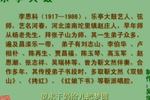 黄爱玉上坟 4 片段