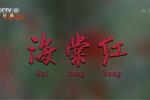 评剧海棠红 全剧