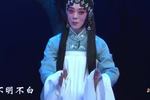 评剧包公三勘蝴蝶梦 第七场 片段