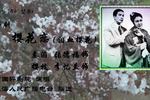 评剧樱花恋