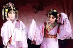 评剧无双传