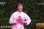 小女婿 片段