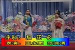 评剧报花名 片段