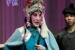 评剧《卖油郎独占花魁》下载 
