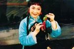 评剧小女婿