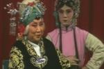 对花枪 南营一折 片段