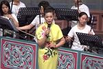 杨八姐游春 片段