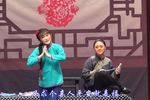 杨三姐告状