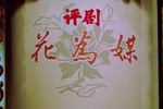 评剧花为媒