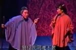 村南柳 片段
