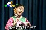 评剧小女婿