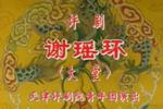 谢瑶环