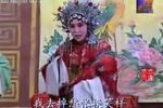 二进宫  片段