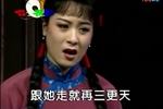 评剧小女婿 片段